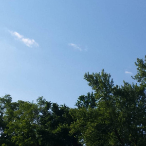 光屁股美女捅阴道网站
